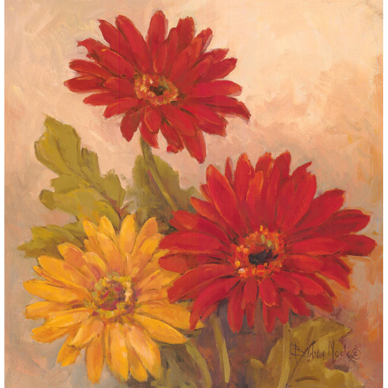 Gerber Daisies I, H 20 po x l 20 po