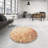 Indoor Rug-791923562