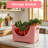 Rebrilliant Plastic Bin-1880442055