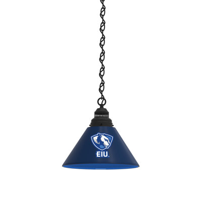 1 - Light Single Pendant