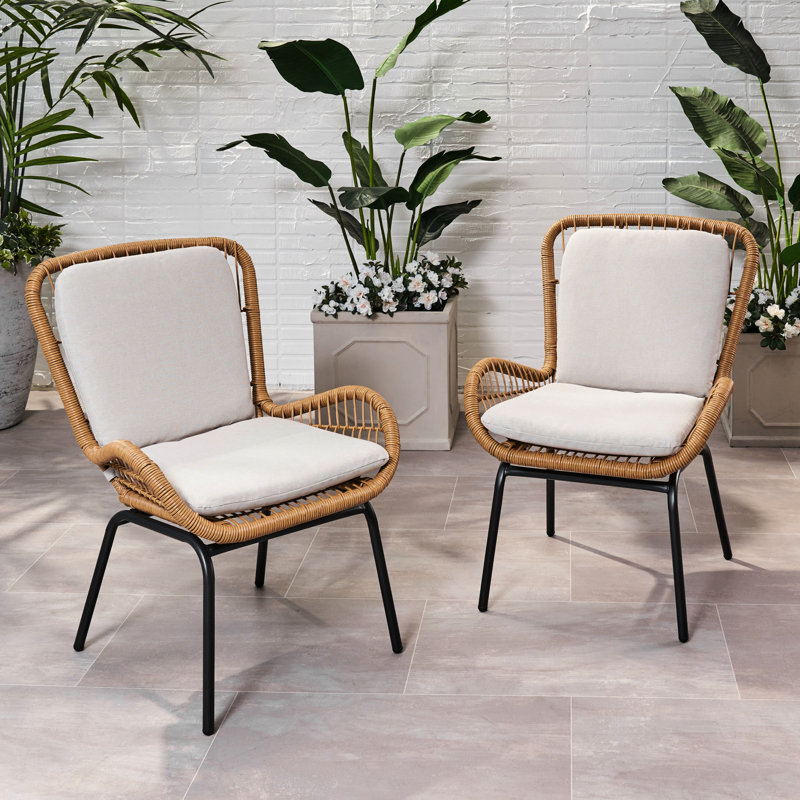 Chaises d'extérieur brunes - Style avec structure club élégant et fer stable