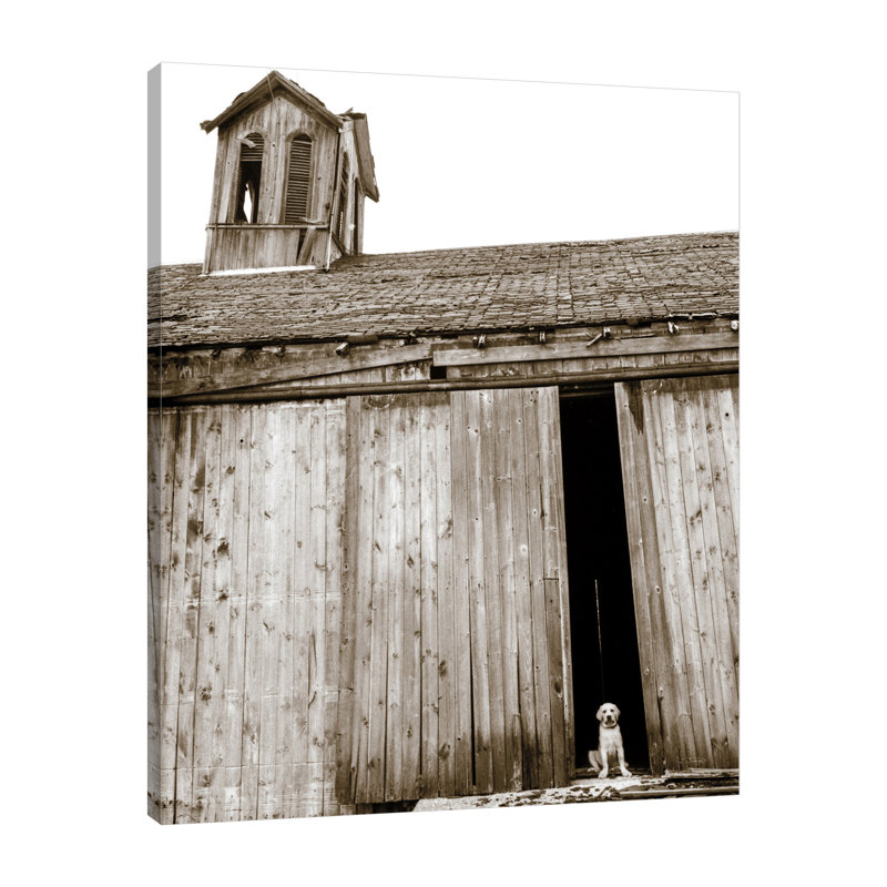 "Barnyard Dog", toile tendue par Jim Dratfield, H 25 po x l 20 po x P 1,5 po