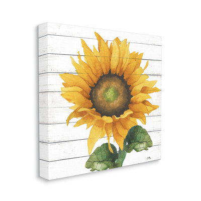 «Yellow Sunflower Blossom Bold Petals», conception rustique par Elizabeth Medley - impression