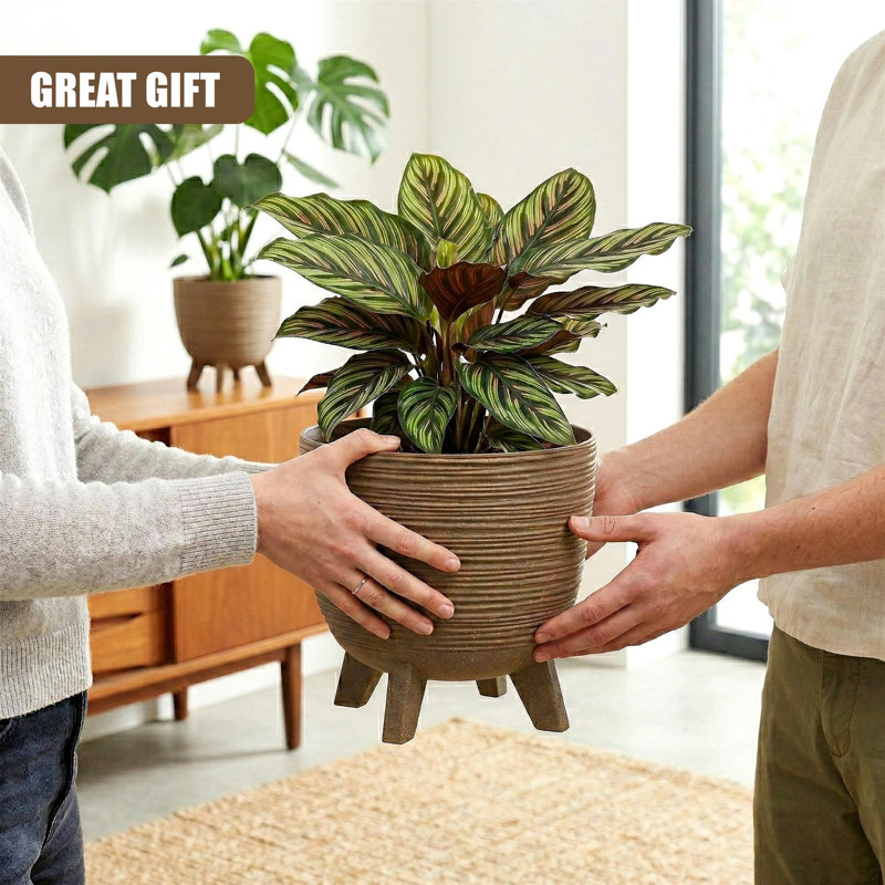 Pot Planter, Brown, 24cm H x 29cm W x 29cm D
