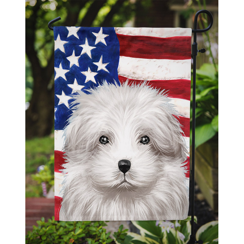 Polyester à 2 côtés 15 x 11 po drapeau de jardin, Bichon bolonais