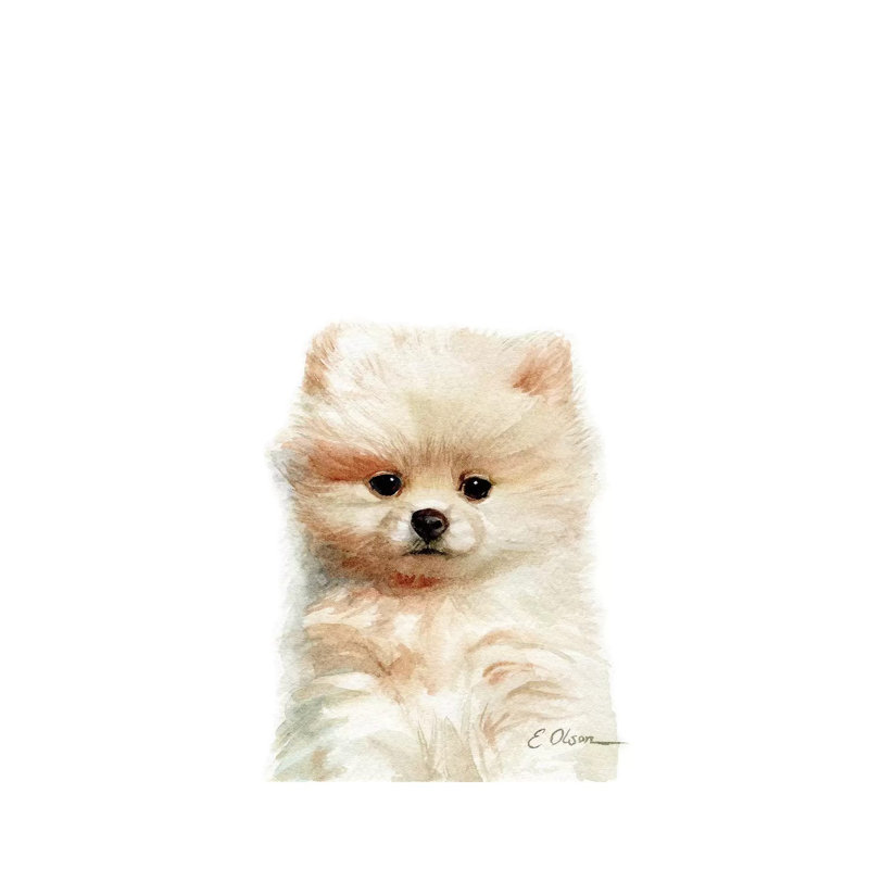 Pomeranian Puppy by Watercolor Luv - Wrapped Canvas Painting, 66.04 cm H x 45.72 cm W x 1.91 cm D