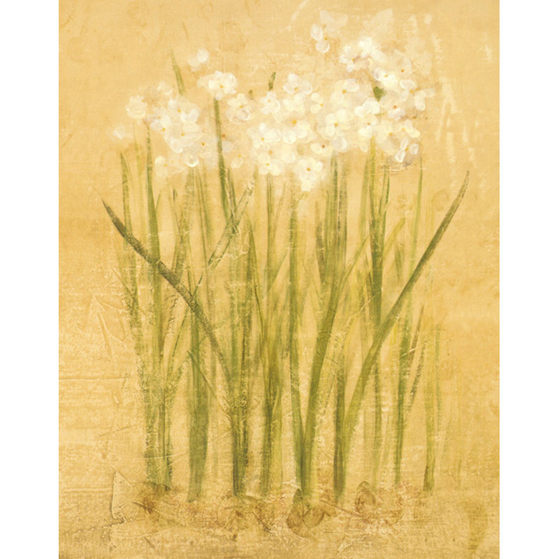 Narcisse petit, H 35 po x l 28 po