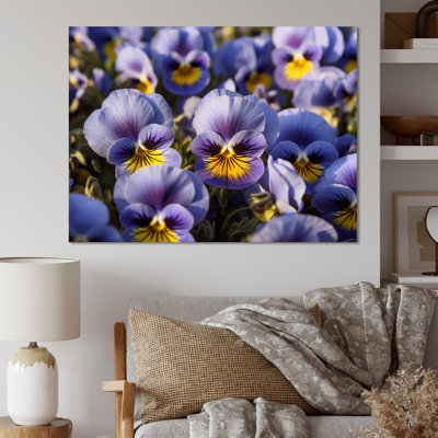 " Purple Yellow Pansies Harmony II "