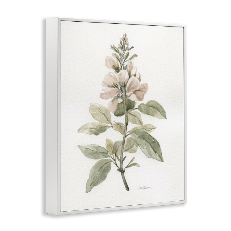 «Subtle Watercolor Botanicals», estampe numérique par Carol Robinson, Estampe numérique encadrée blanc bord de mer