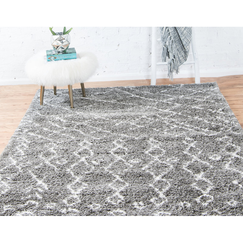 Southwestern Shag Area Rug