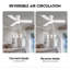 Ventilateur de plafond standard à DEL à 3 pales 32 po avec ensemble d'éclairage et télécommande-207201554-232221012-207201556