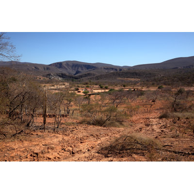 The Caatinga Landscape In Brazil - Wrapped Canvas Print