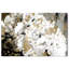 Petals In The Wind - Wrapped Canvas Print-16230164