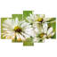 White Daisies Flowers - 5 Piece Wrapped Canvas Print