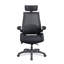 Cearra Mesh Office Chair