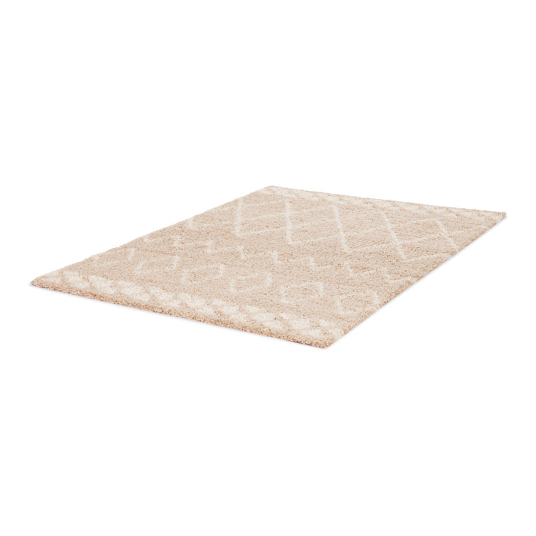 Dale Geometric Shag Area Rug