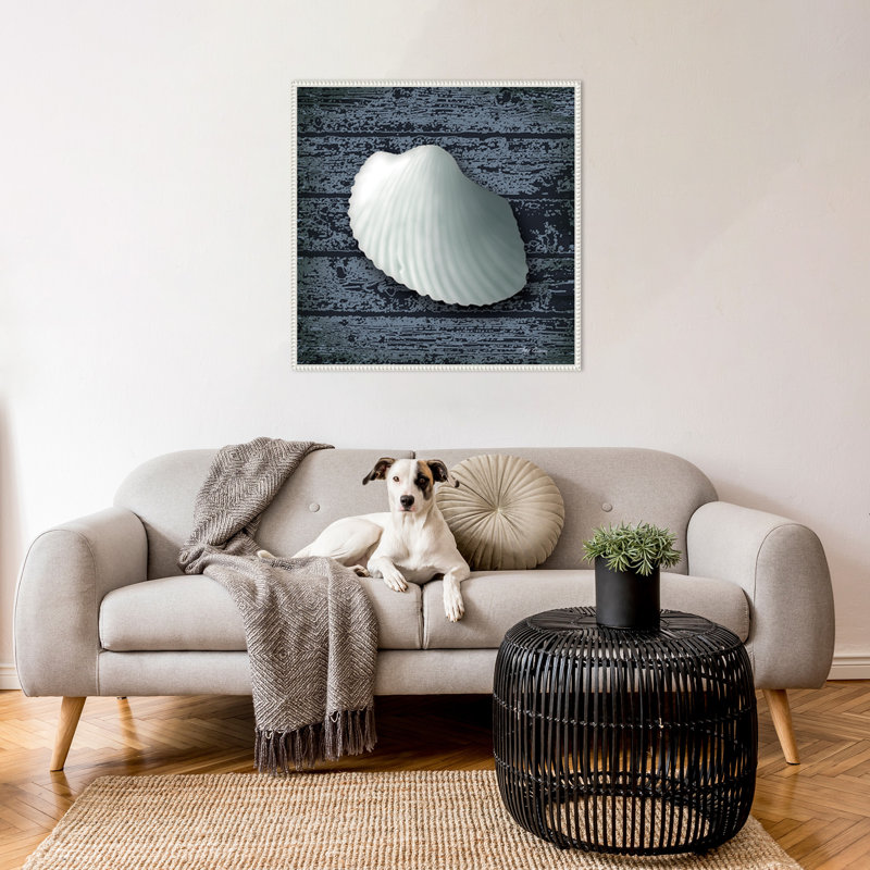 «Seashore Shells Navy I» par Marie Elaine Cusson, reproduction d'art sur toile encadrée, H 30 po x l 30 po