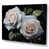 Toile tendue