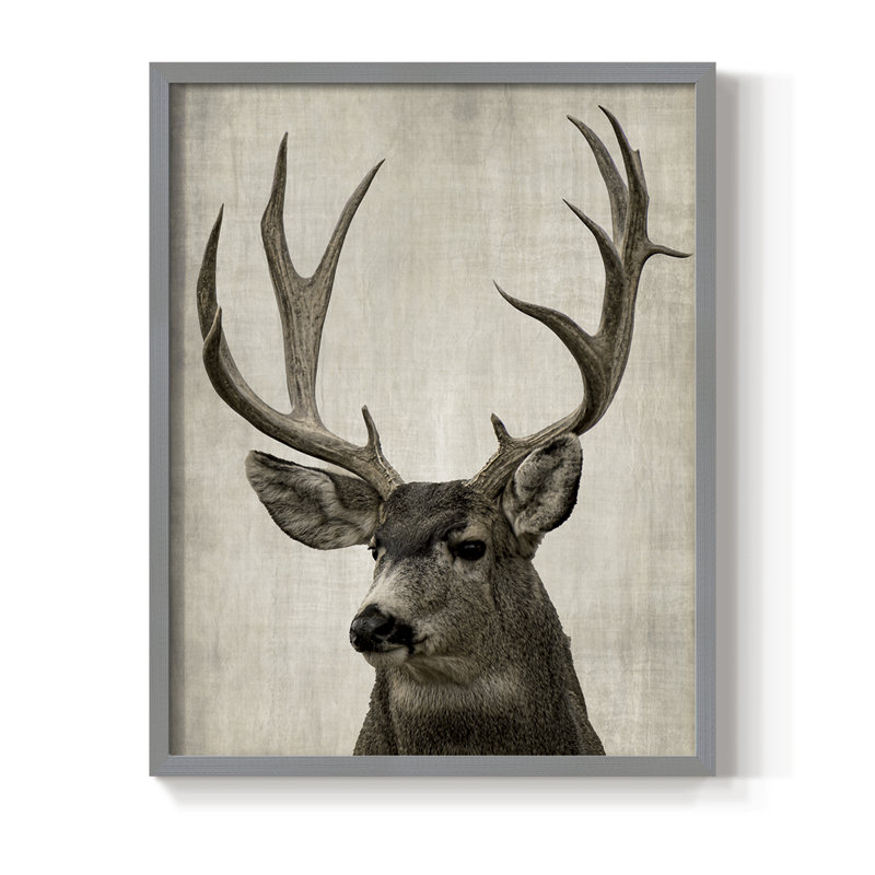 Impression encadrée Colorado Buck - bois massif, H 11 po x l 9 po, Gris