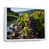 White Floater Framed