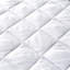 Olavarria Mattress Protector Case Pack