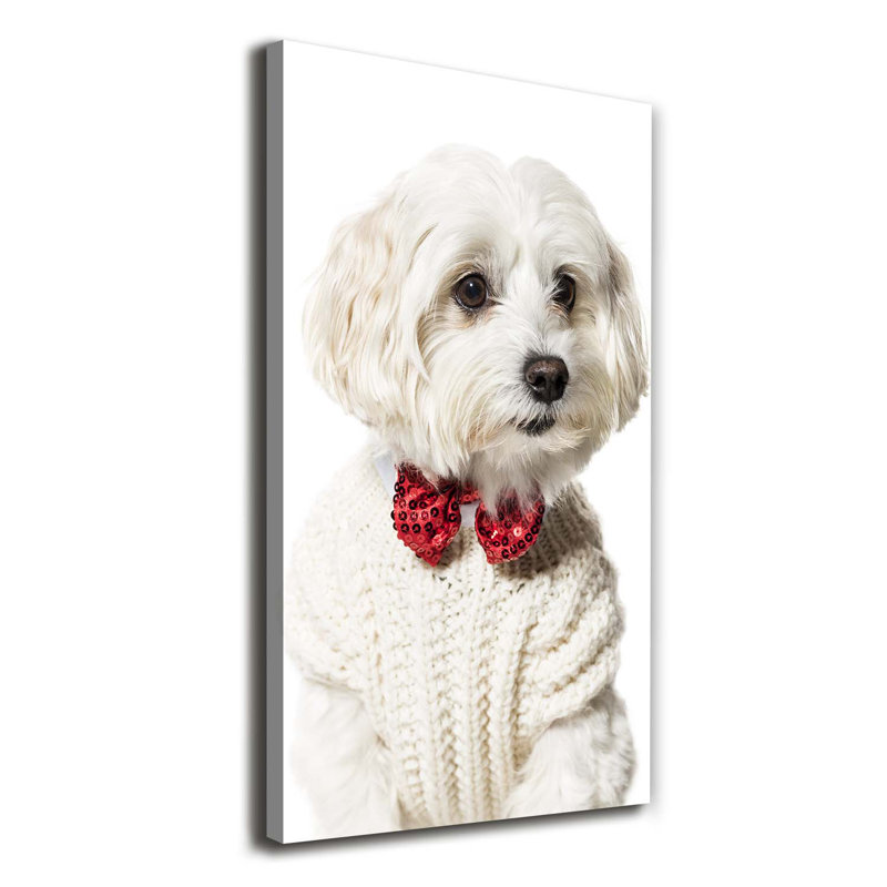 Maltese In A Bow Tie - Wrapped Canvas Print, 120cm H x 60cm W