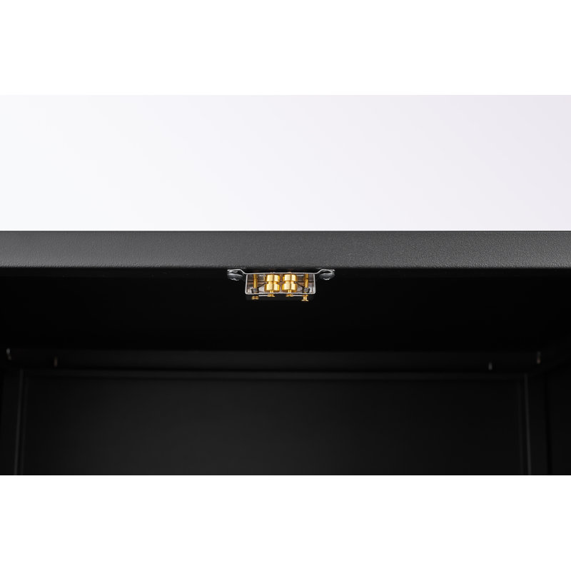 Mian 19.68'' Wide Storage Cabinet