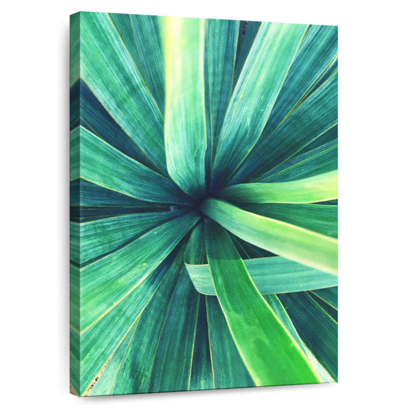 Harnek Plant Close Up, 12" H x 8" W