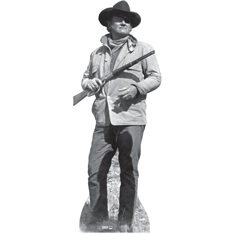 Hollywood's Wild West 76'' Cardboard Standup