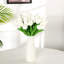 Tiges de tulipes-1272173548