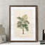 « palmierss iv » par paul cezanne-reproduction d’art sur image-454558735-454559219