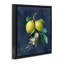 «Lemon Branches on Blue» par Danhui Nai-40573999-40574003