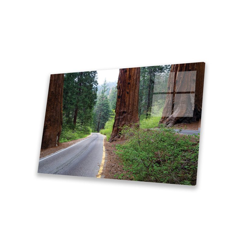 Route traversant une forêt, parc national de Sequoia, Californie, États-Unis par Panoramic Images