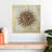 Oberle Sun-111896814