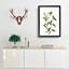 Golden Willow Tree Branch by Pierre-Joseph Redoute - Picture Frame Art Print-55608516-55608518