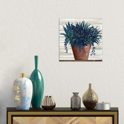 Remarkable Succulents II by Cindy Jacobs - Wrapped Canvas Print