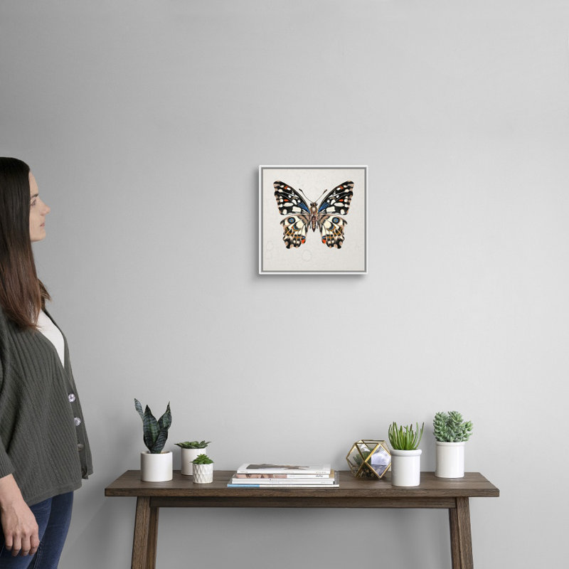 «Butterfly Study II» par Wang Melissa - reproduction d'art sur toile, H 14 po x l 14 po x P 2 po, Toile blanche encadrée
