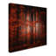 « red parallel univers », reproduction de photo sur toile tendue encadrée-14808301