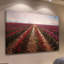 Tulips Forever by Sylvia Cook - Wrapped Canvas Print-1771493667