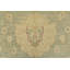 Tapis unique vert de 6 pi 2 po x 9 pi 4 po
