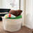 Ebern Designs Box