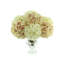 Cream And Mauve Hydrangea In Pedestal Vase