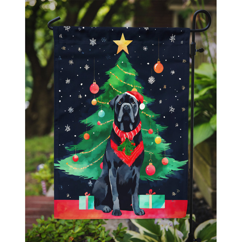 Drapeau de jardin en polyester à 2 faces, H 15,5 po x l 11,25 po