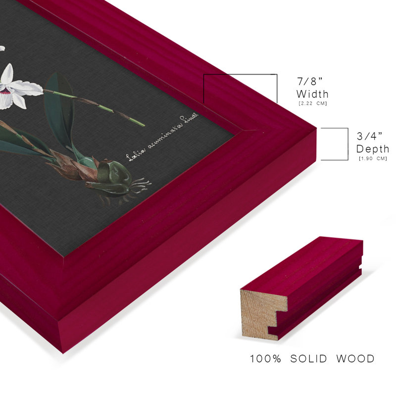 Orchidée sur ardoise V - reproduction de cadre photo simple, Rouge, H 6 po x l 4 po x P 1 po