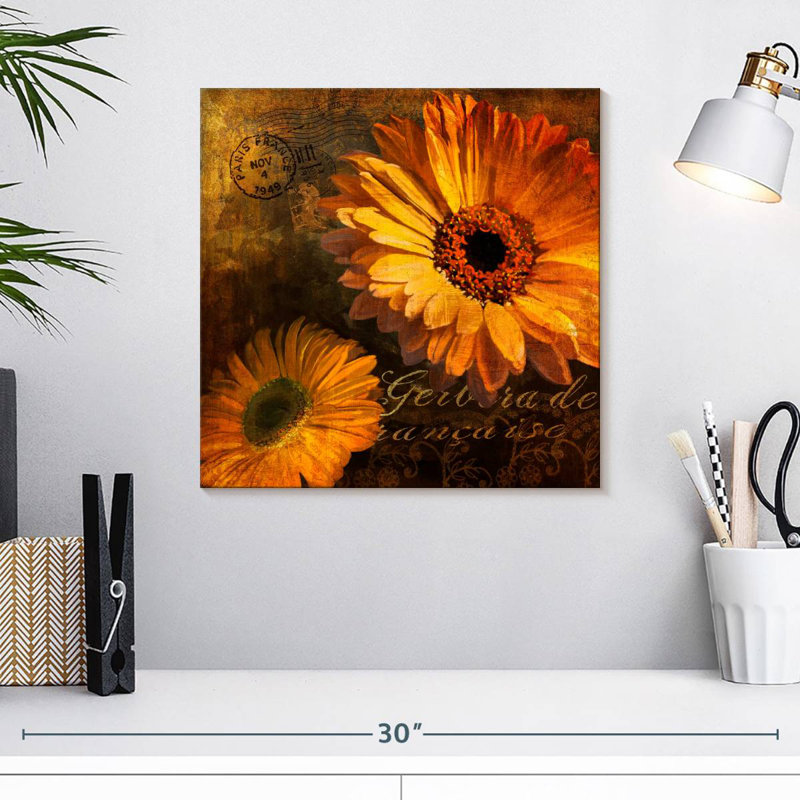 Harnek Gerbera II, H 16 po x l 16 po