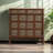 20 Pair Shoe Storage Cabinet