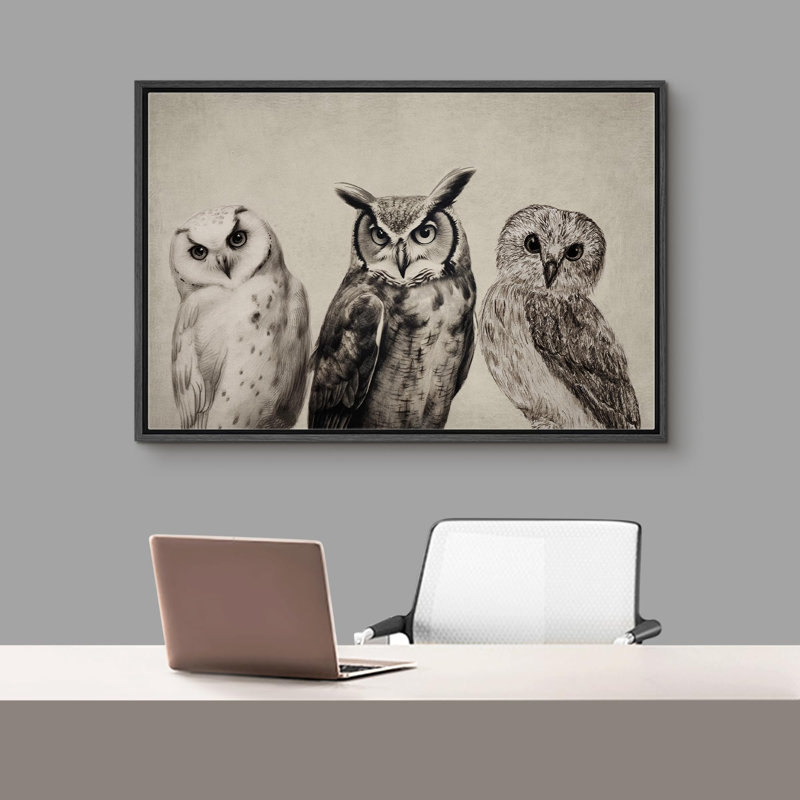Oiseau, oiseau, bicolore, hibou, H 24 po x l 36 po x P 1,5 po, Noir, noir, noir, noir