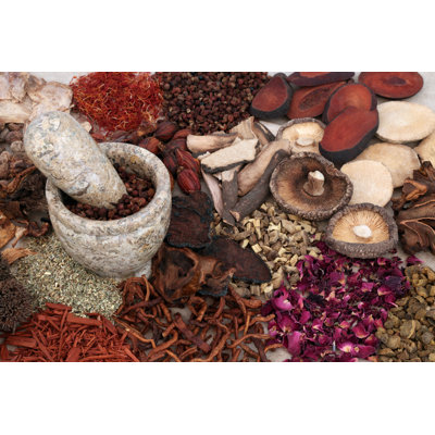 Chinese Herbal Medicine by Marilyna - Wrapped Canvas Print