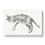 Playful Cat by Jean Bernard - Wrapped Canvas Drawing - Wrapped Canvas-55324951
