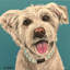 Lee Keller - Wrapped Canvas Painting-1480818634